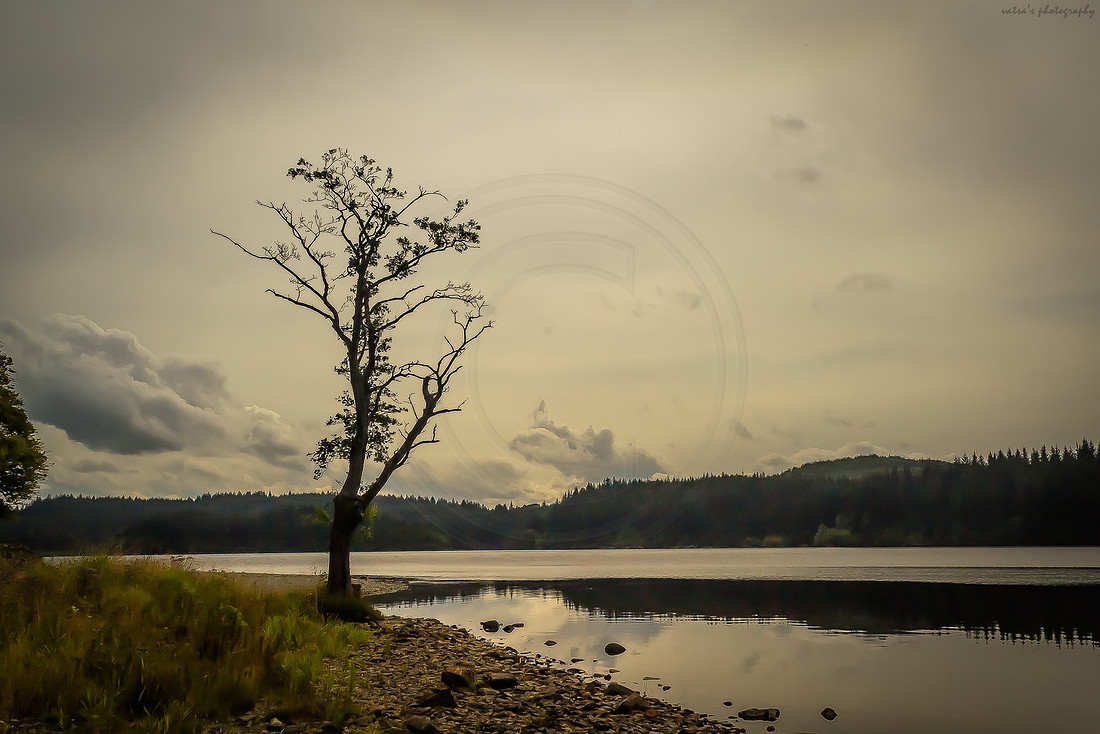Aberfoyle, "Loch Ard", "Loch Lomond and the Trossachs National Park", Serene, Tranquil, Aberfoyle, Kinlochard